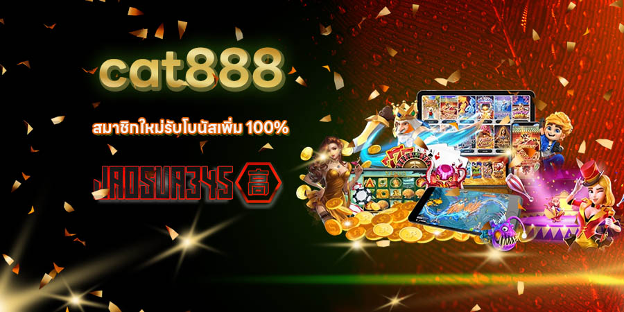 cat888